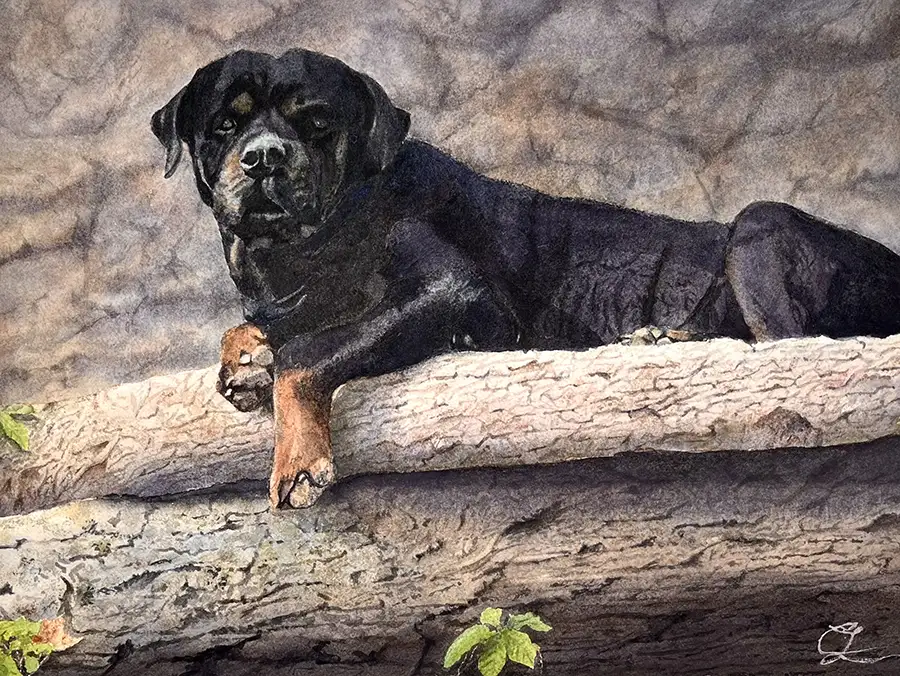 Watercolor painting of a dog